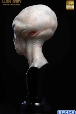 1:1 Alien Grey Life-Size Bust