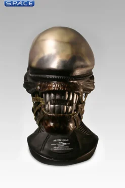 1:1 Alien Head Life-Size Replica
