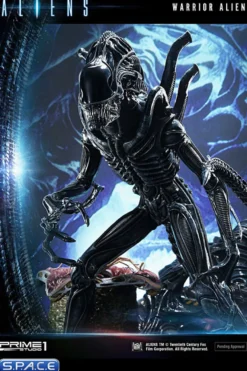 Alien Warrior
