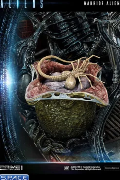 Alien Warrior