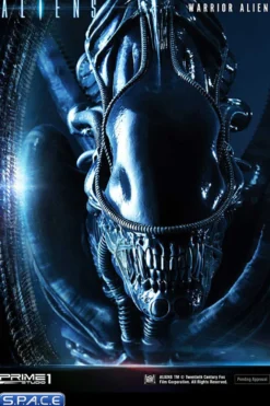 Alien Warrior