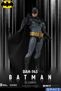 Batman Dynamic Action Heroes (DC Comics)