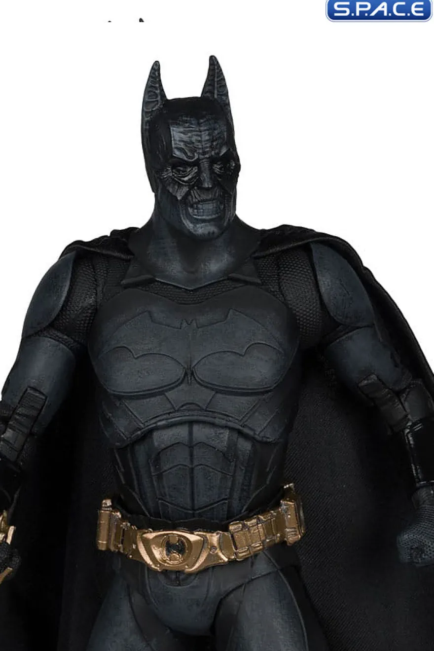 Batman from Batman Begins Gold Label Collection