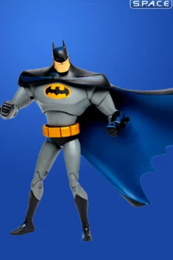 Batman from Batman: The Animated Series Gold Label Collection