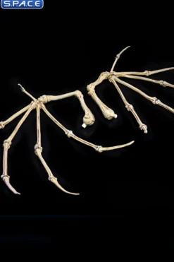 Bone Wings