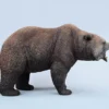 Brown Bear