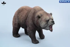 Brown Bear