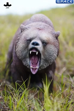 Brown Bear