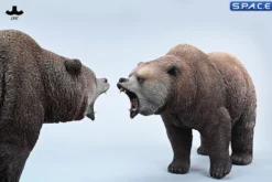 Brown Bear