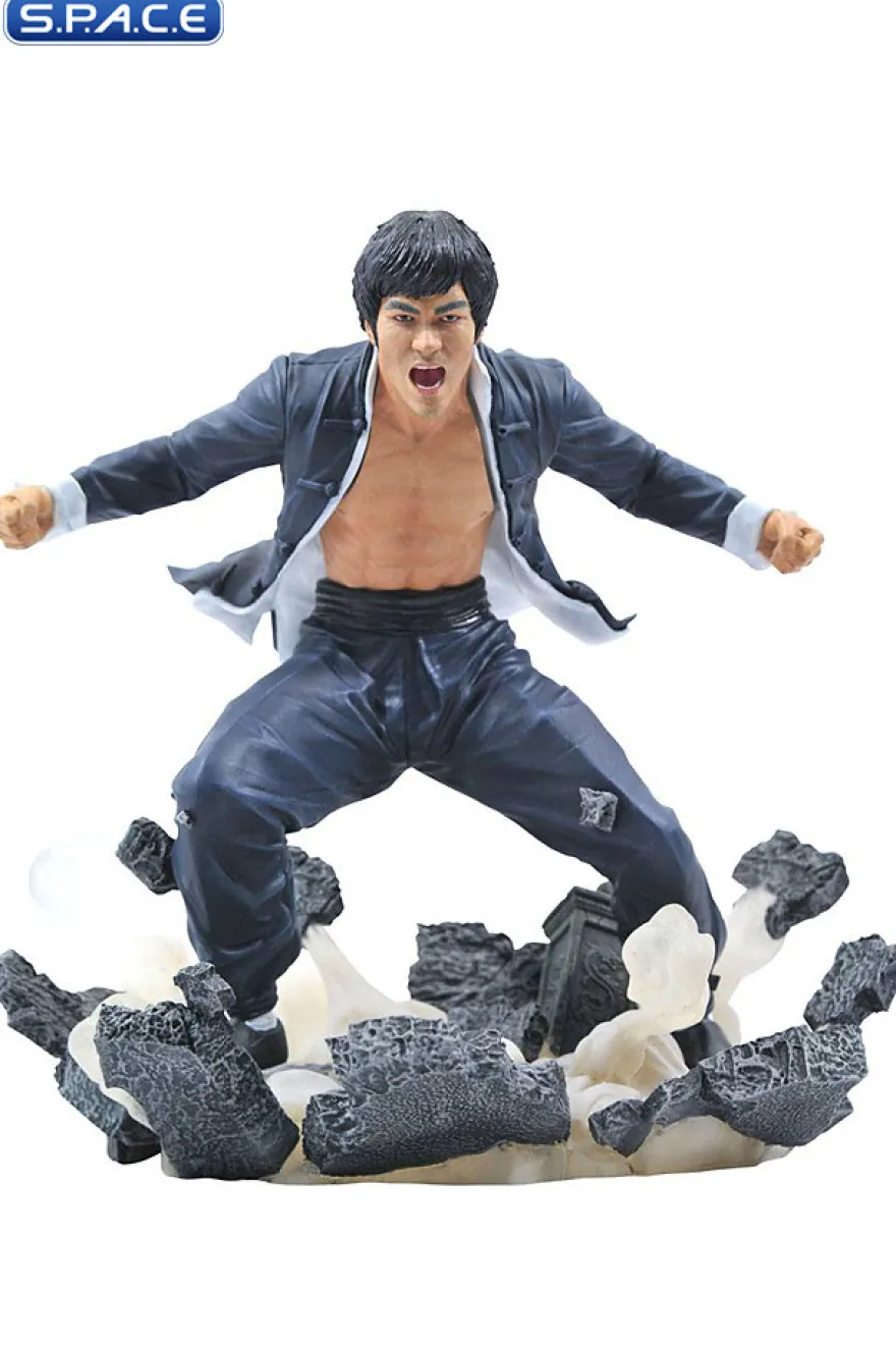 Bruce Lee Earth Gallery PVC Statue