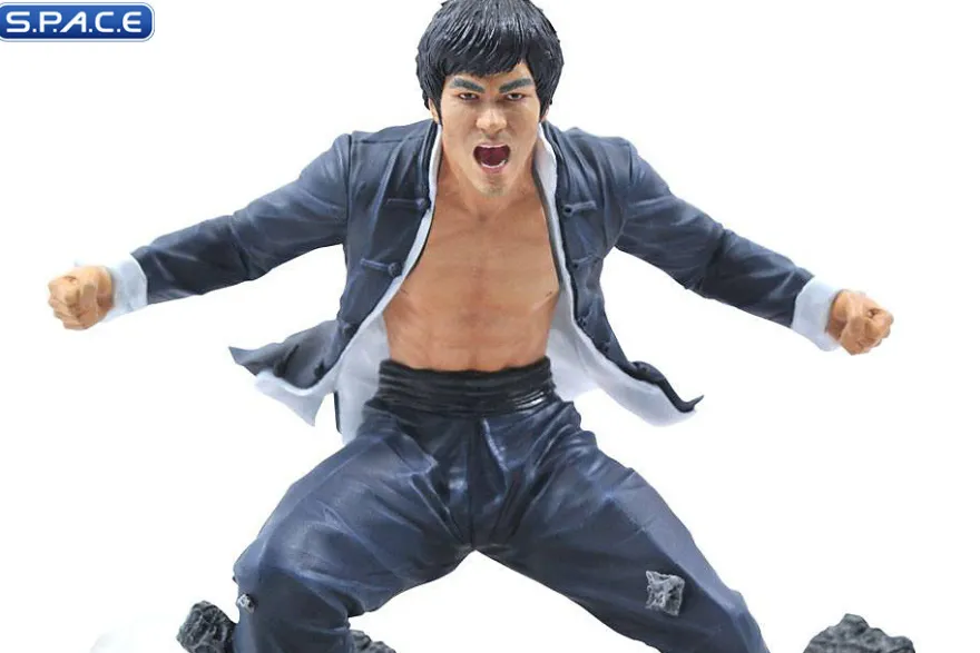 Bruce Lee Earth Gallery PVC Statue