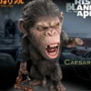 Caesar Deformed Real Series
