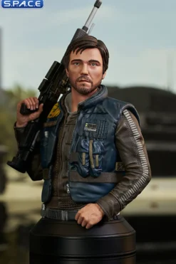 Cassian Andor Bust