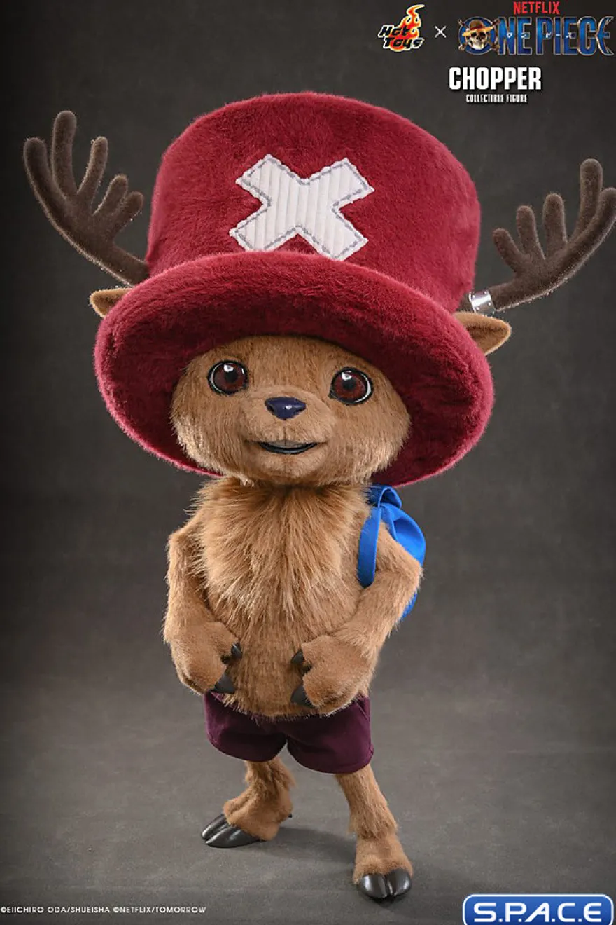 Chopper TV Masterpiece TMS174