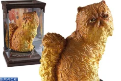 Crookshanks