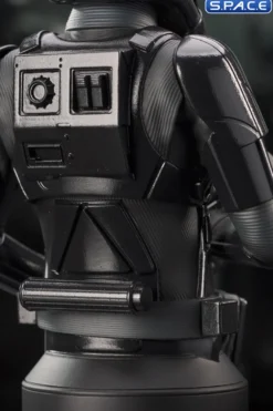 Death Trooper Bust