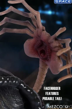 Deluxe Alien Mezco Designer Series