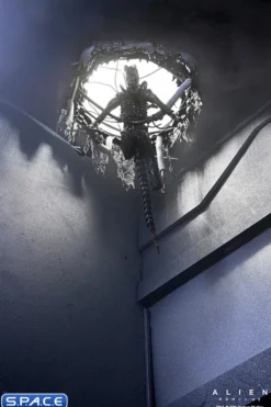 Deluxe Suspended Lab Xenomorph XX121