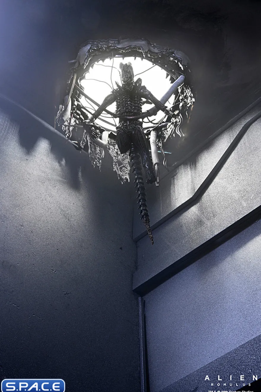 Deluxe Suspended Lab Xenomorph XX121