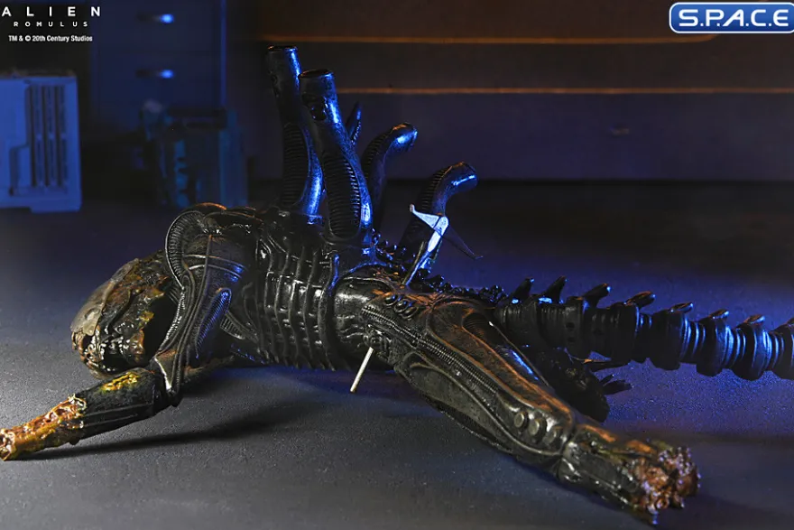 Deluxe Suspended Lab Xenomorph XX121