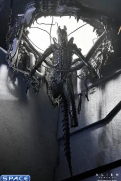 Deluxe Suspended Lab Xenomorph XX121
