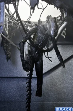 Deluxe Suspended Lab Xenomorph XX121