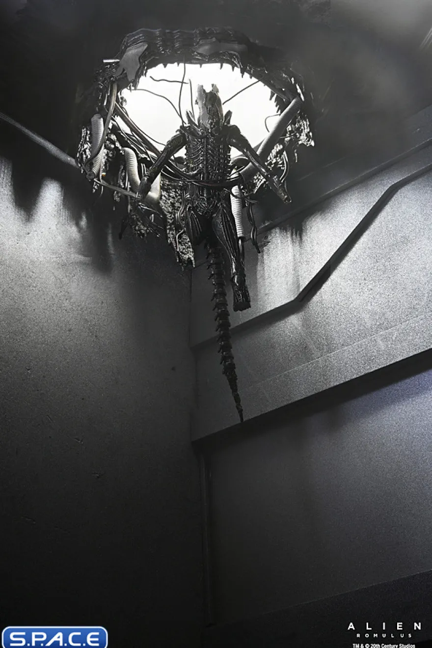 Deluxe Suspended Lab Xenomorph XX121