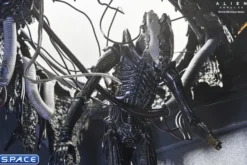 Deluxe Suspended Lab Xenomorph XX121