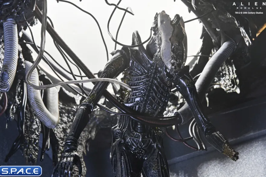 Deluxe Suspended Lab Xenomorph XX121