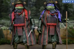 Donatello & Raphael 2-Pack