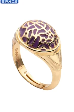 Dungeons & Dragons 6 Ring Set