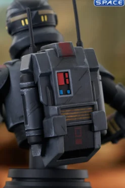 Echo Bust