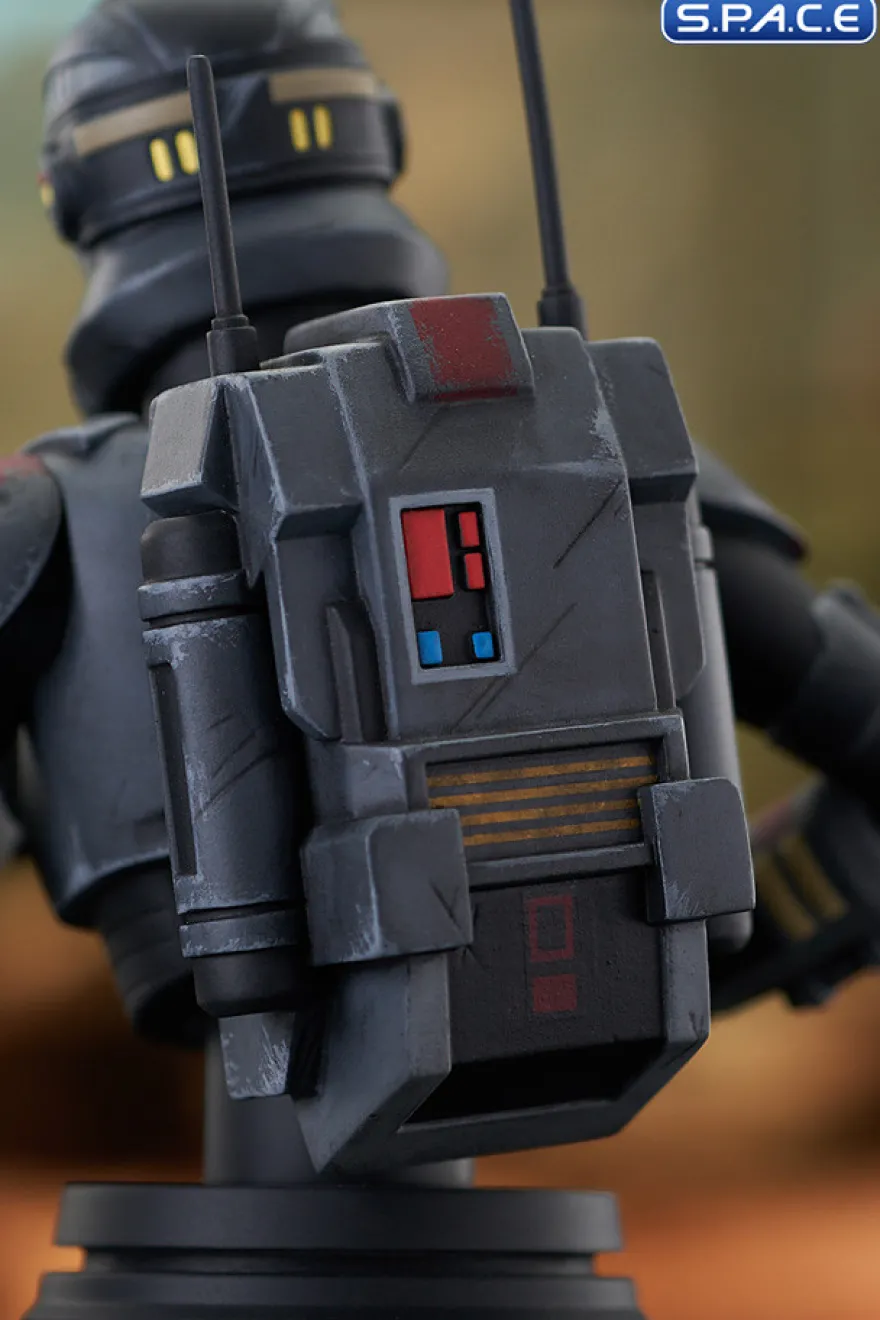 Echo Bust
