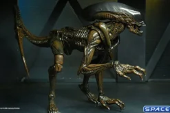 2er Komplettsatz: Aliens: Fireteam Elite Serie 1