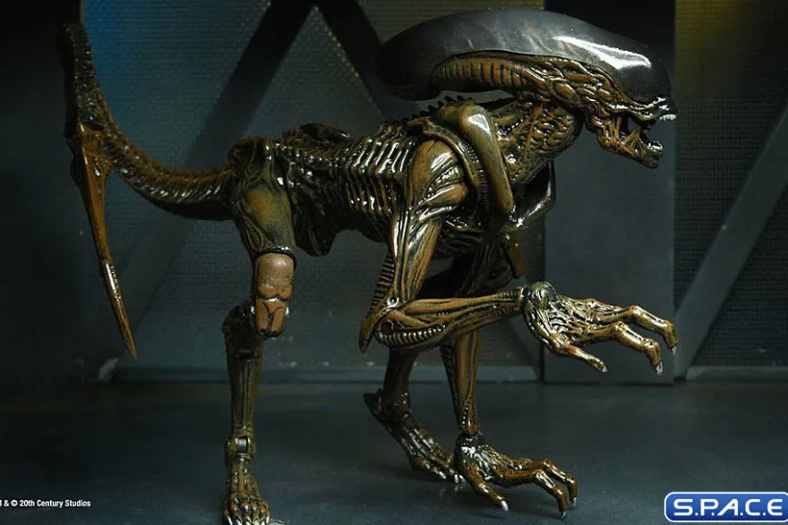 2er Komplettsatz: Aliens: Fireteam Elite Serie 1