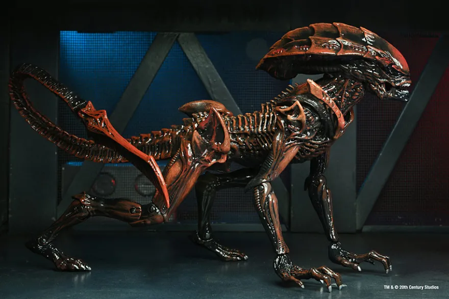 2er Komplettsatz: Aliens: Fireteam Elite Serie 1