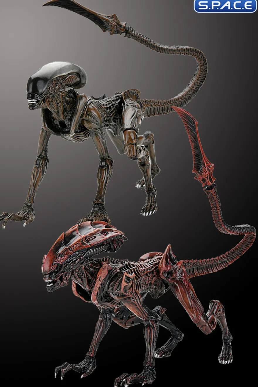 2er Komplettsatz: Aliens: Fireteam Elite Serie 1