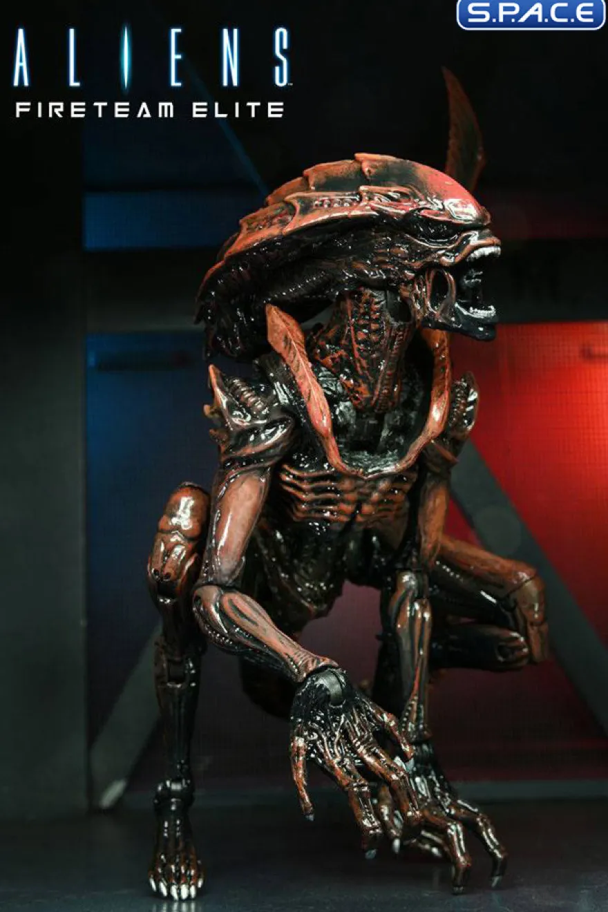 2er Komplettsatz: Aliens: Fireteam Elite Serie 1