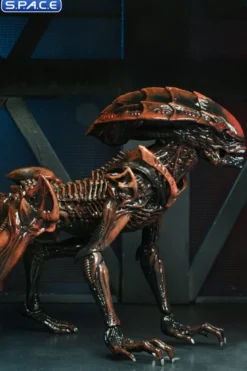 2er Komplettsatz: Aliens: Fireteam Elite Serie 1