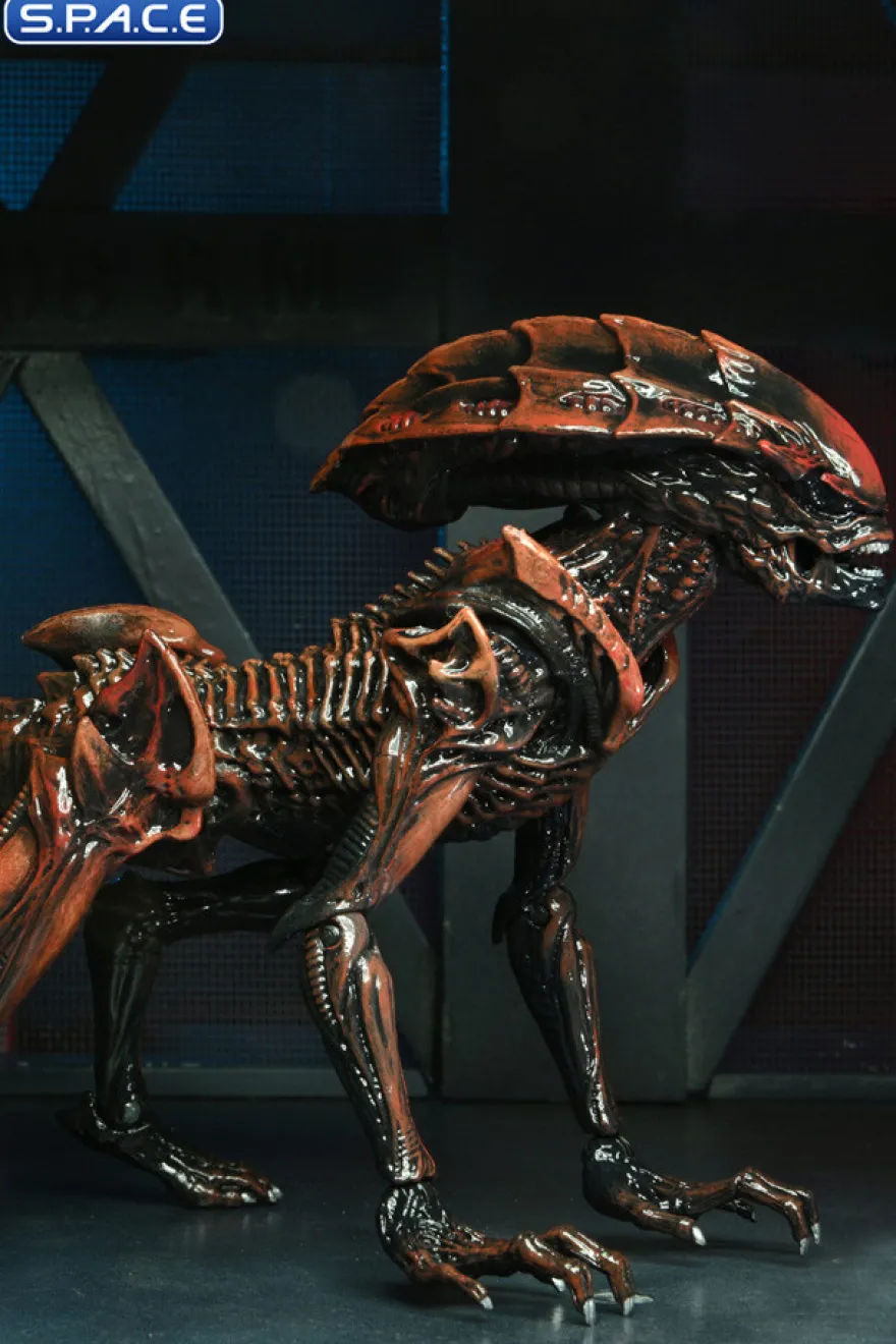 2er Komplettsatz: Aliens: Fireteam Elite Serie 1
