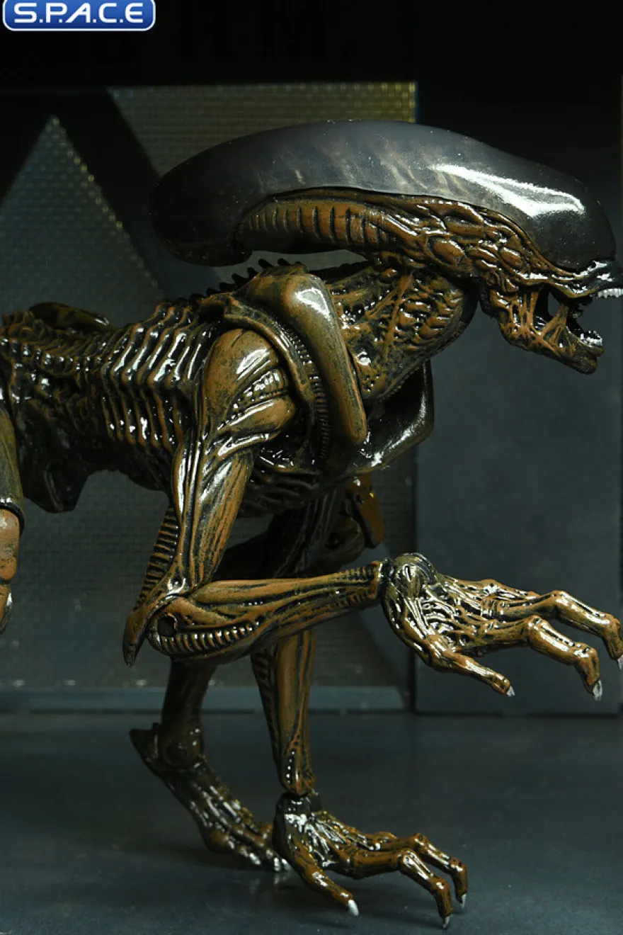 2er Komplettsatz: Aliens: Fireteam Elite Serie 1