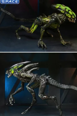 2er Komplettsatz: Aliens: Fireteam Elite Serie 2