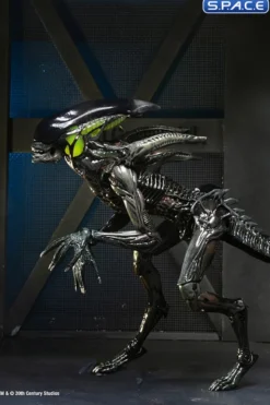 2er Komplettsatz: Aliens: Fireteam Elite Serie 2