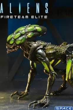 2er Komplettsatz: Aliens: Fireteam Elite Serie 2