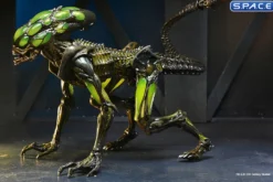 2er Komplettsatz: Aliens: Fireteam Elite Serie 2