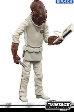4er Satz: The Vintage Collection 2021 Wave 5