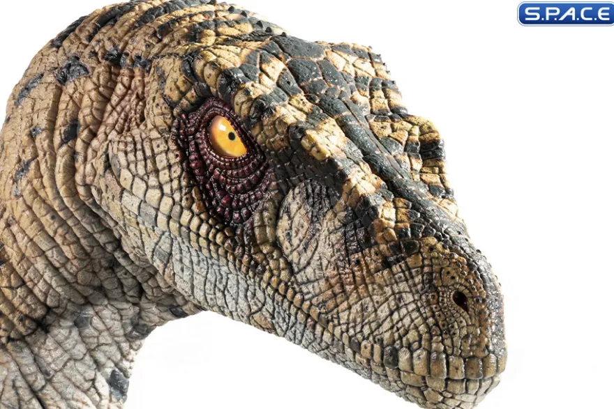 1:1 Female Velociraptor Life-Size Bust