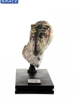 1:1 Female Velociraptor Life-Size Bust