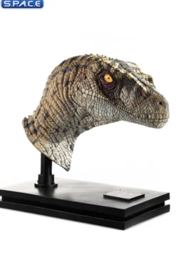 1:1 Female Velociraptor Life-Size Bust