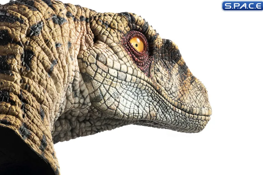 1:1 Female Velociraptor Life-Size Bust